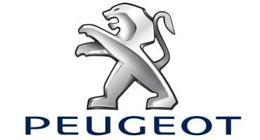 Riparazione Cambi Peugeot
